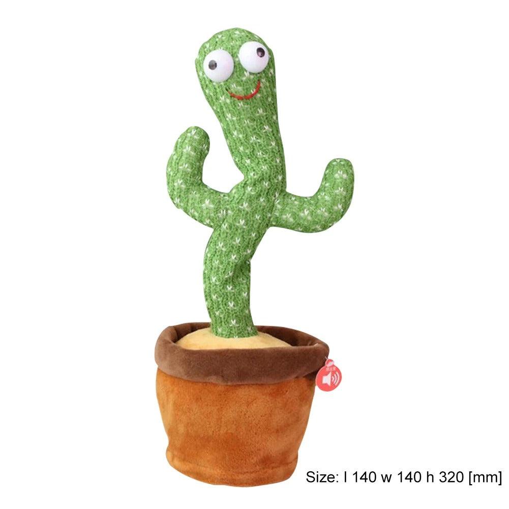 The Silly Cactus