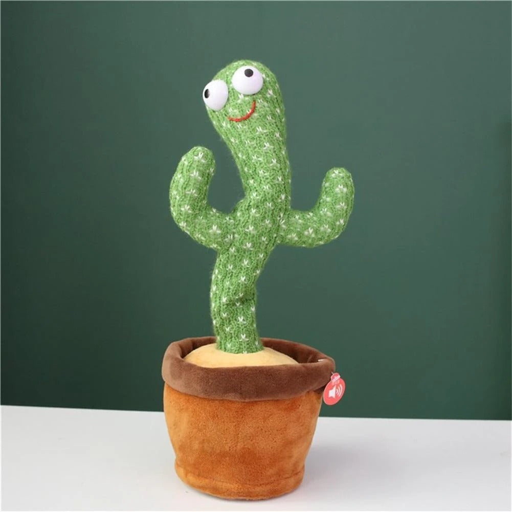The Silly Cactus