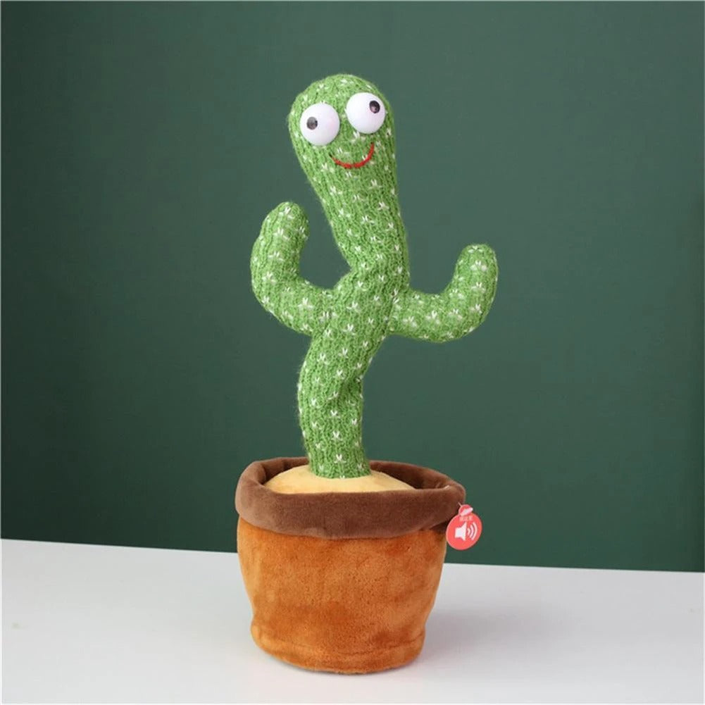 The Silly Cactus
