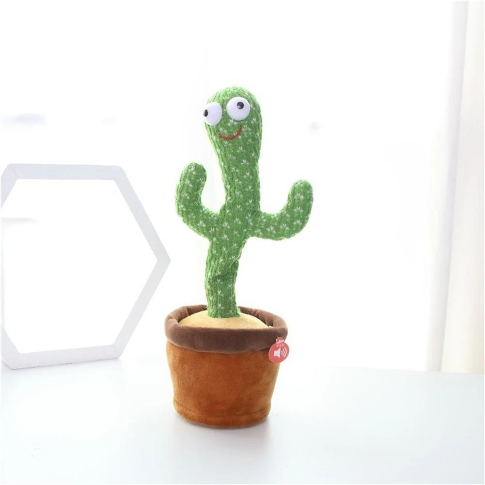 The Silly Cactus